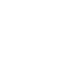 Element- Element Labs Inc