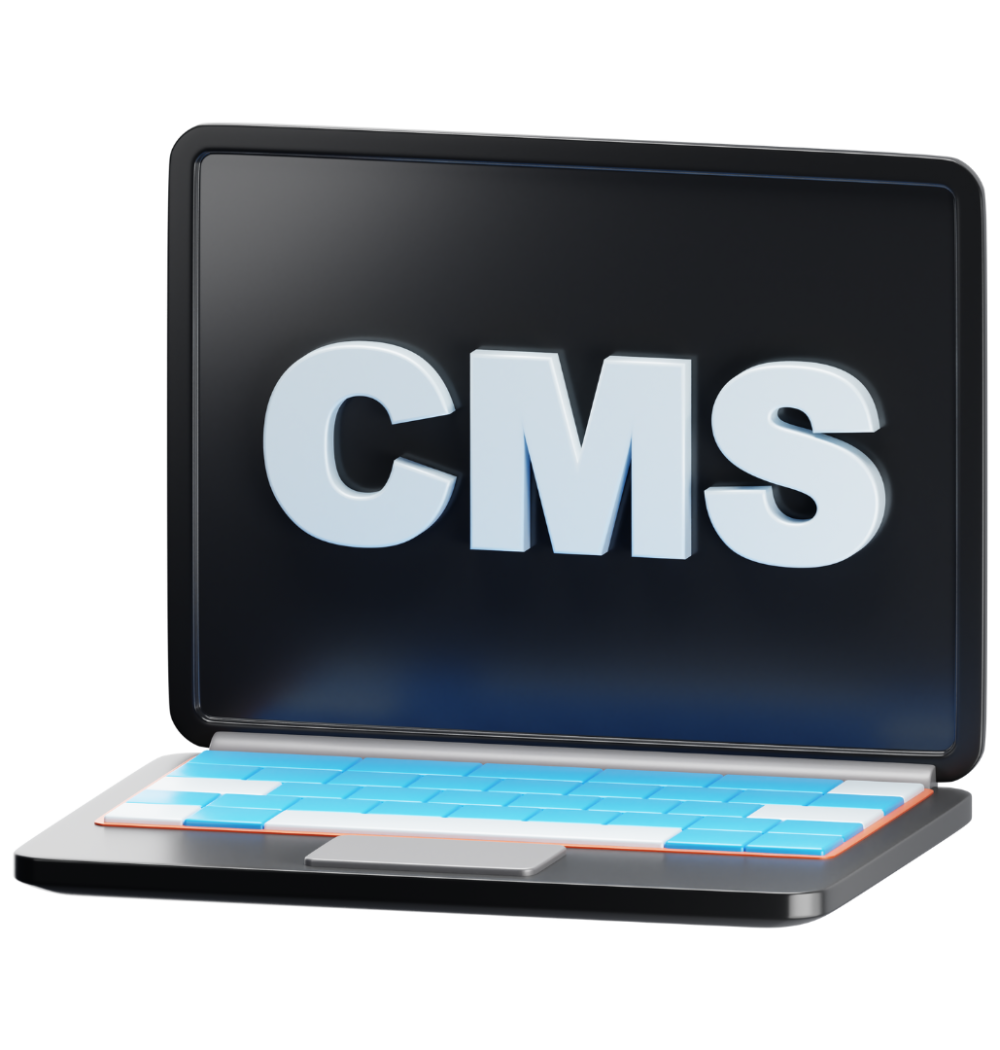 CMS content management system